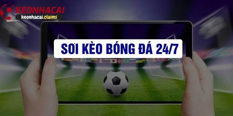 Hướng dẫn các bước soi kèo hiệu quả