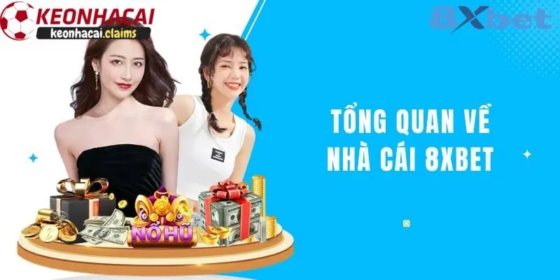 Tổng quan về nhà cái 8xbet